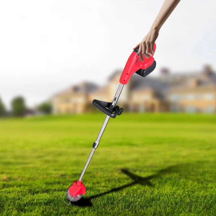 We started international trade business in 2020